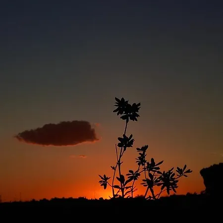 Apartment Il Tramonto *